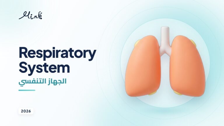 Respiratory System (Archive)
